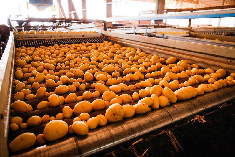 Preços dos alimentos no 1º quadrimestre desaceleram pelo segundo ano seguido