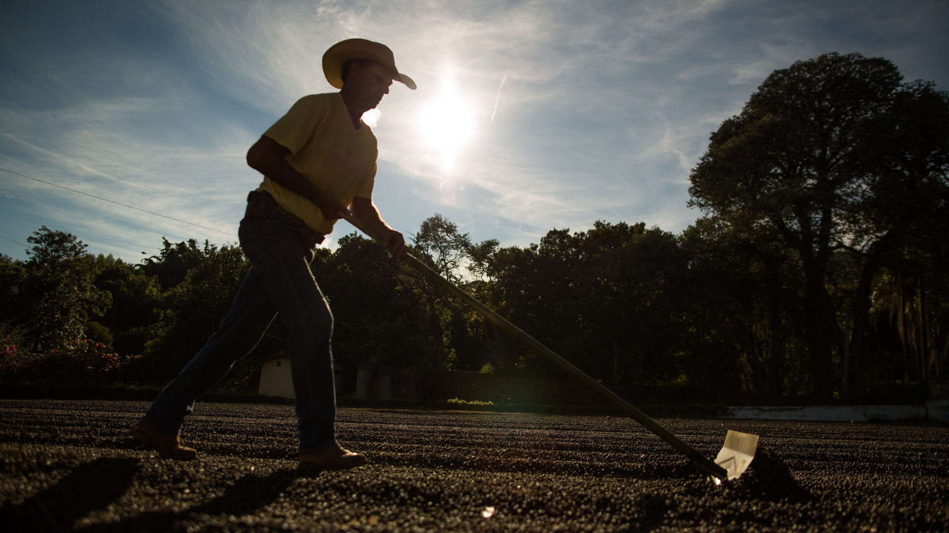 Agro baiano bate recorde de empregos com alta de 509% em maio, aponta Faeb
