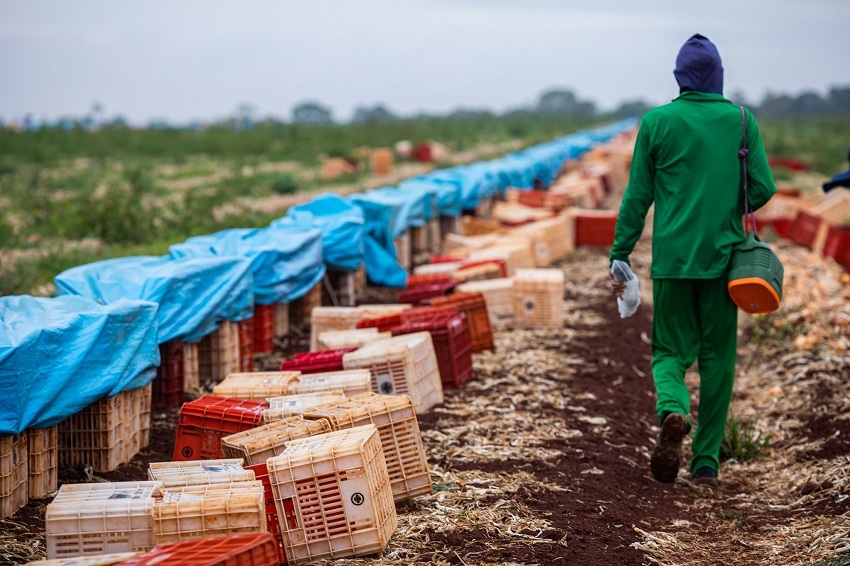 CNA analisa dados de empregos formais da agropecuária em junho