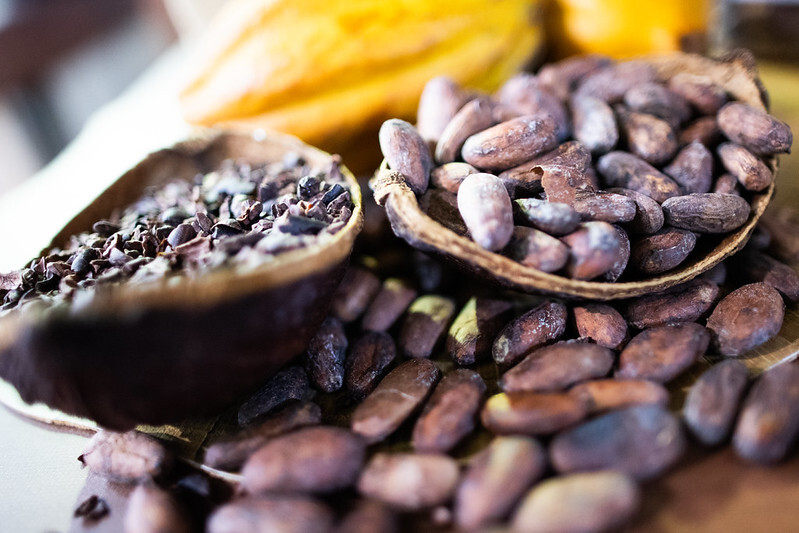 Senar lança cartilha Agroindústria: produção de chocolate da árvore à barra   