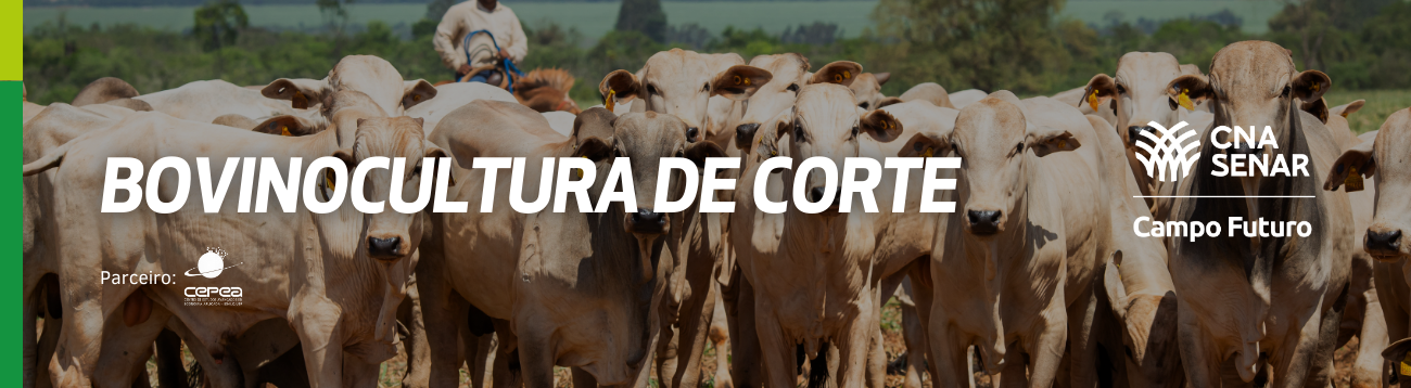 Não basta produzir bem. É fundamental o planejamento e definição de estratégias de compra e venda dos bovinos