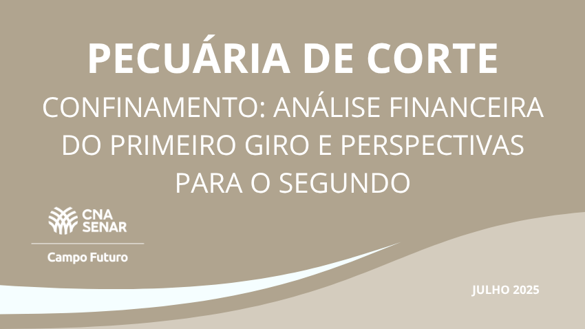 Confinamento: análise financeira do primeiro giro e perspectivas para o segundo