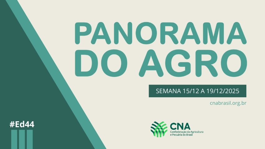 Panorama do Agro - Semana de 15 a 19 de dezembro