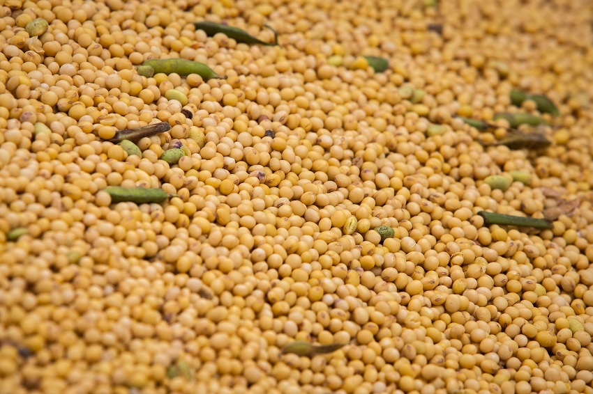 CNA defende aumento imediato da mistura de biodiesel ao óleo diesel para 17%