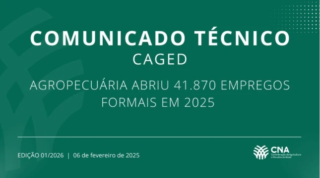 CNA publica análise dos dados do Caged em 2025