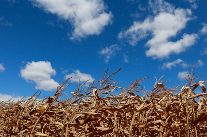 29305796478 edbcbf680a k