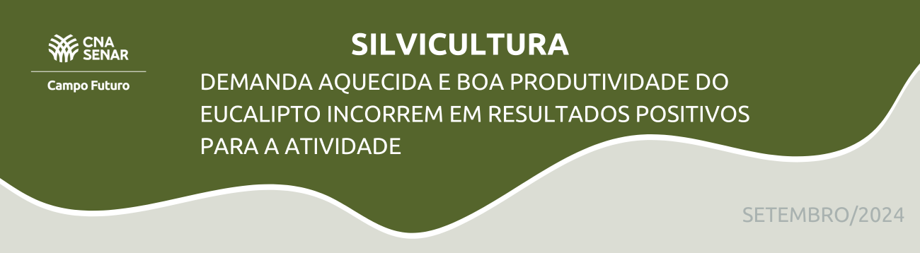 Demanda aquecida e boa produtividade do eucalipto incorrem em resultados positivos para atividade