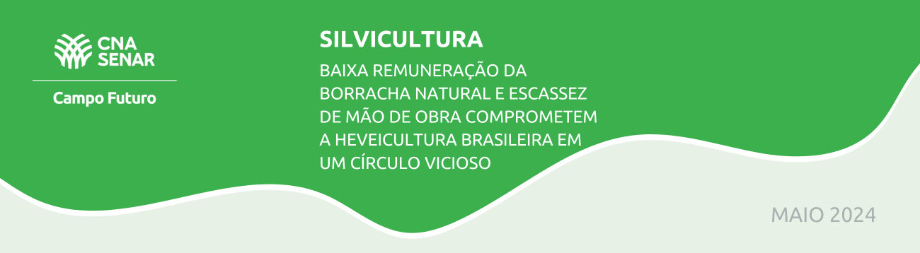 Baixa remuneração da borracha natural e escassez de mão de obra comprometem a heveicultura brasileira em um círculo vicioso