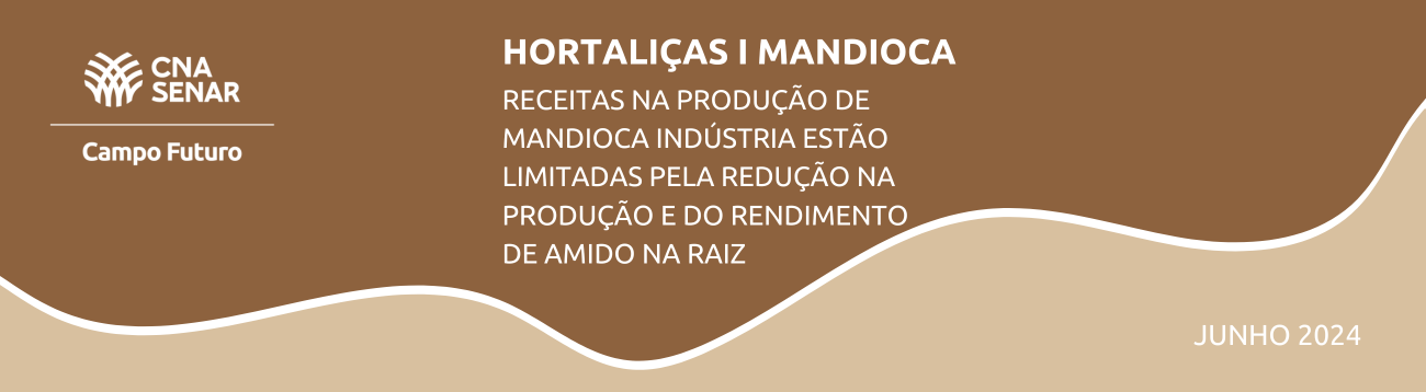 Hortaliças - Receitas na produção de mandioca indústria estão limitadas pela redução na produção e do rendimento de amido na raiz