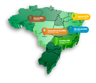 Campo Futuro 2024 MAPA menor