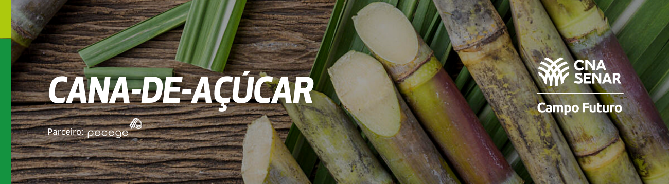 Mão de obra e plantio mecanizado