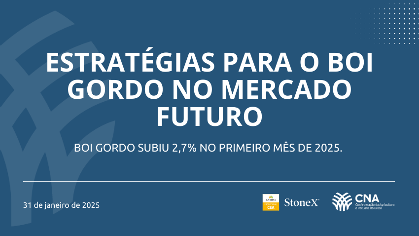 Boi gordo subiu 2,7% no primeiro mês de 2025