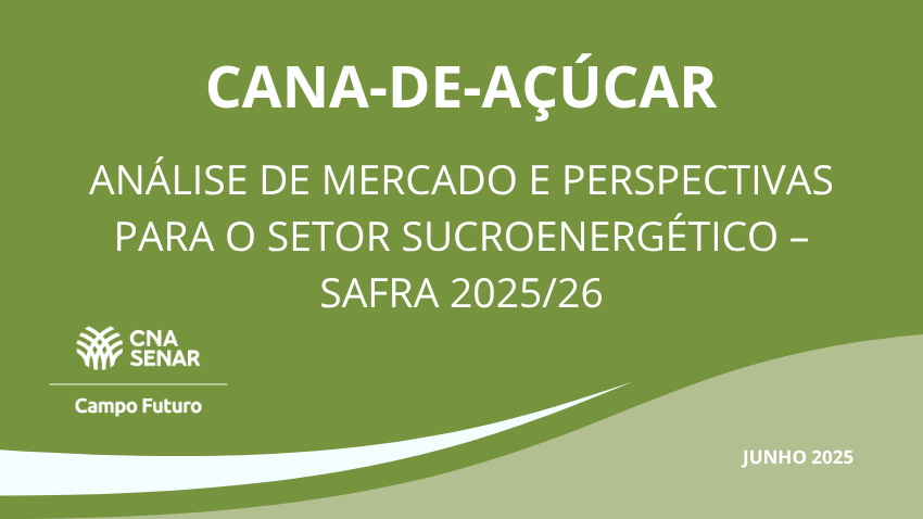Análise de mercado e perspectivas para o setor sucroenergético - Safra 2025/26