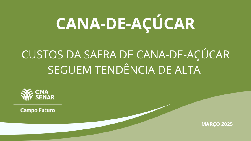 Custos da safra de cana-de-açúcar seguem tendência de alta