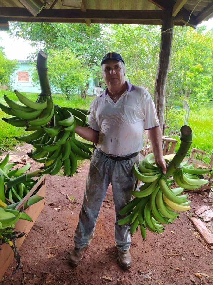 Fruticultor de Tangará da Serra (MT)