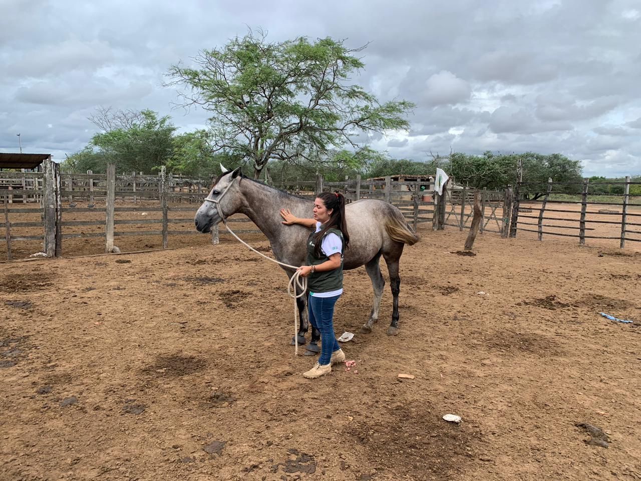 Instrutora do Senar Sergipe orienta sobre medidas preventivas do mormo