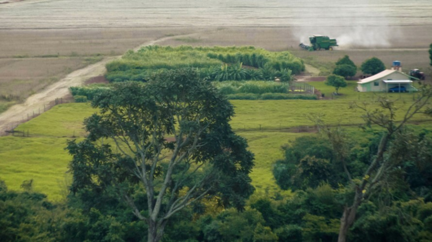 Meio ambiente propriedade