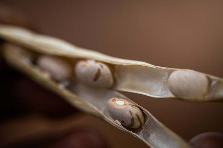 50897407803 a7364db9c5 k