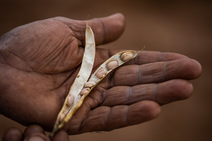 50897407858 6811a41aeb k