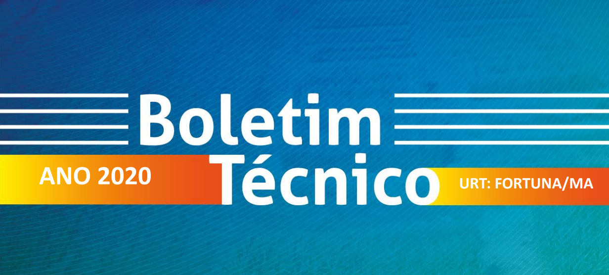 Boletim Técnico 2020 - URT Fortuna/MA