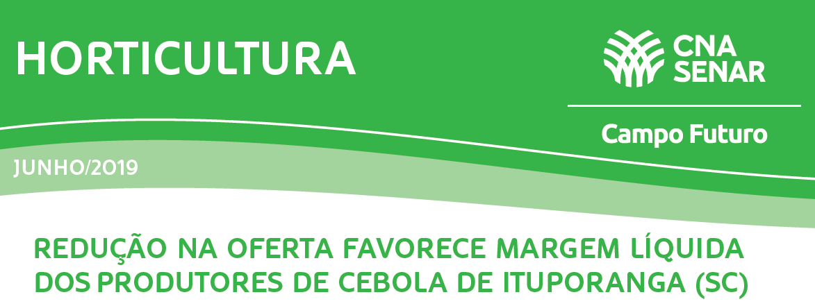 Redução na oferta favorece margem líquida dos produtores de cebola de Ituporanga (SC)