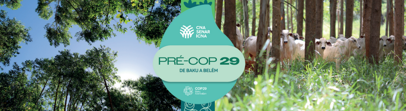 Ações climáticas de agricultura e segurança alimentar: soluções da agricultura tropical para o Acordo de Paris