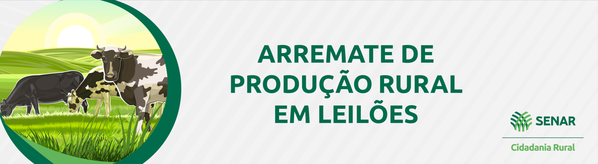Arremate de Produção Rural em leilões