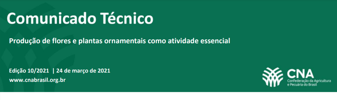 Produção de flores e plantas ornamentais e seu enquadramento nas atividades agropecuárias essenciais