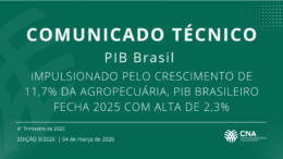 Impulsionado pelo crescimento de 11,7% da agropecuária, PIB brasileiro fecha 2025 com alta de 2,3%