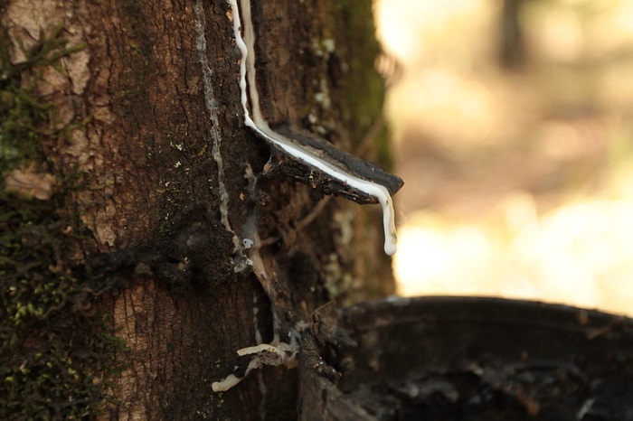 A pedido da CNA, borracha natural é mantida na Letec