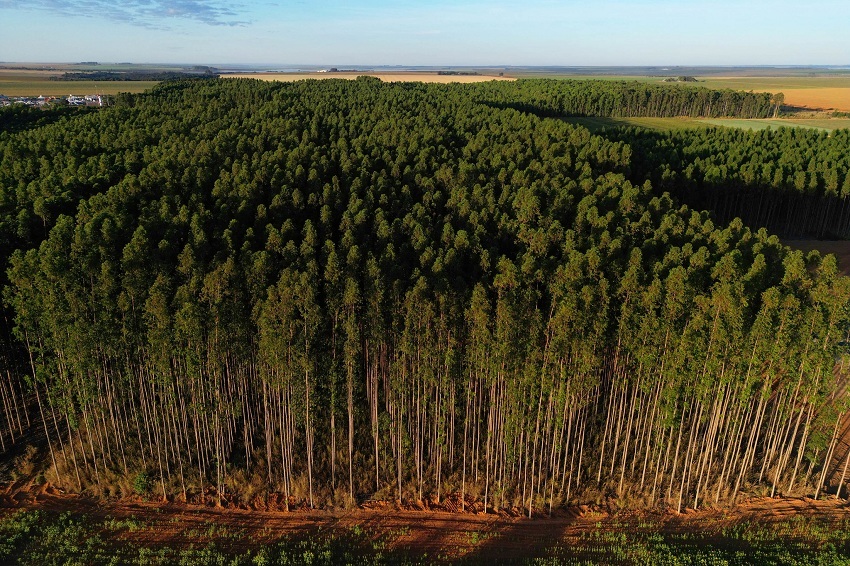 Receita Federal publica regras para o ITR 2025