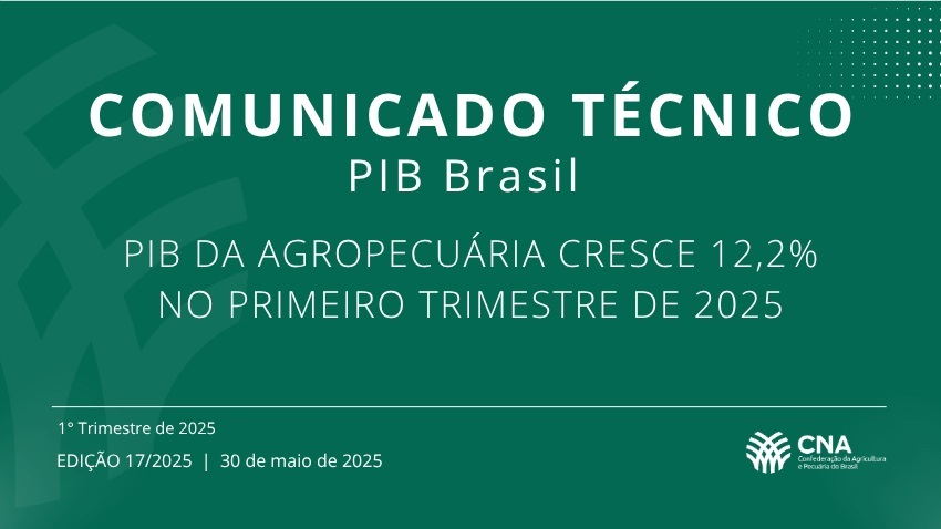 Comunicado Tecnico PIB Brasil 17 2025