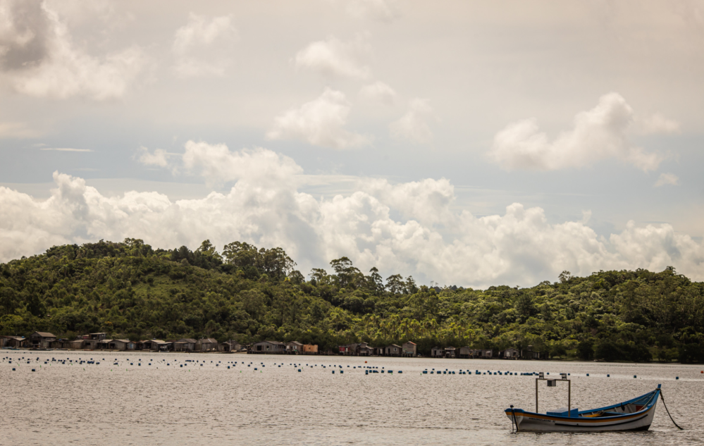 Acesse nosso flickr 👇