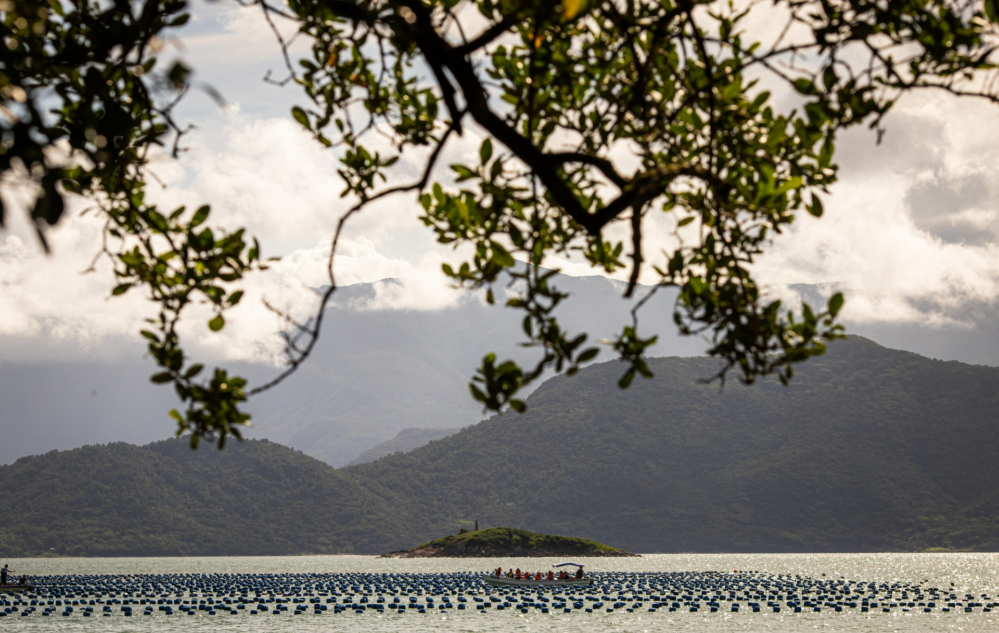 Acesse nosso flickr 👇