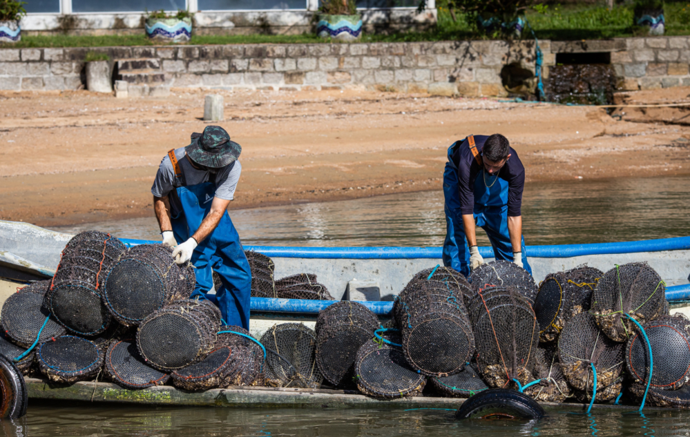 Acesse nosso flickr 👇