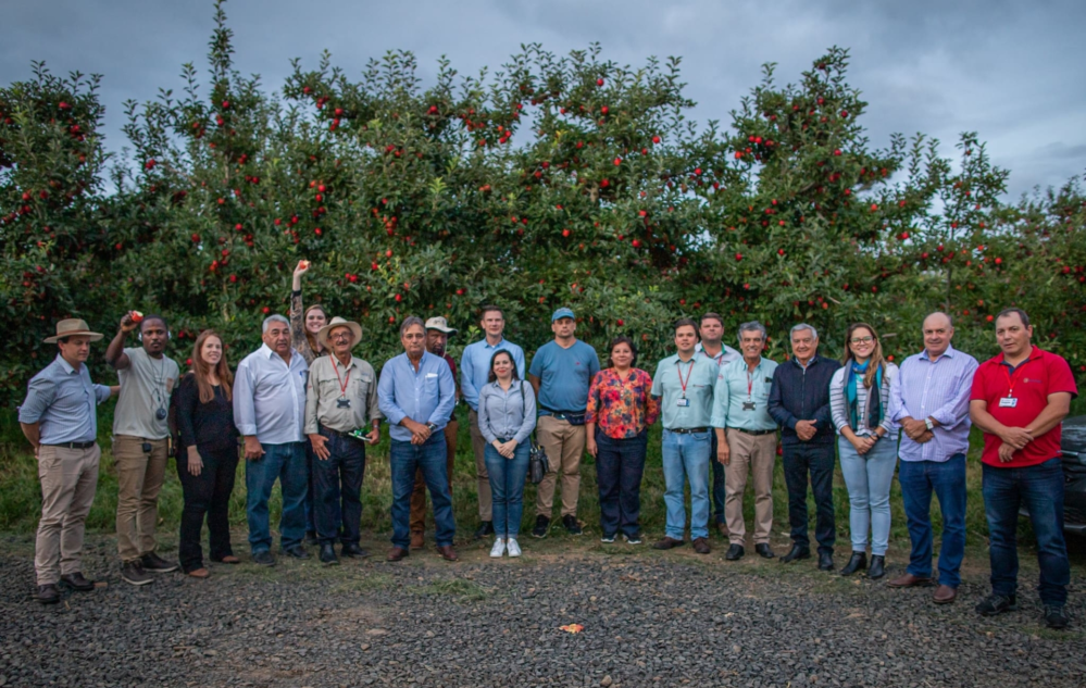 Acesse nosso flickr 👇