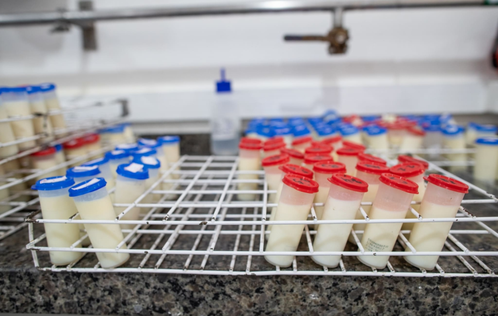 Acesse nosso flickr 👇