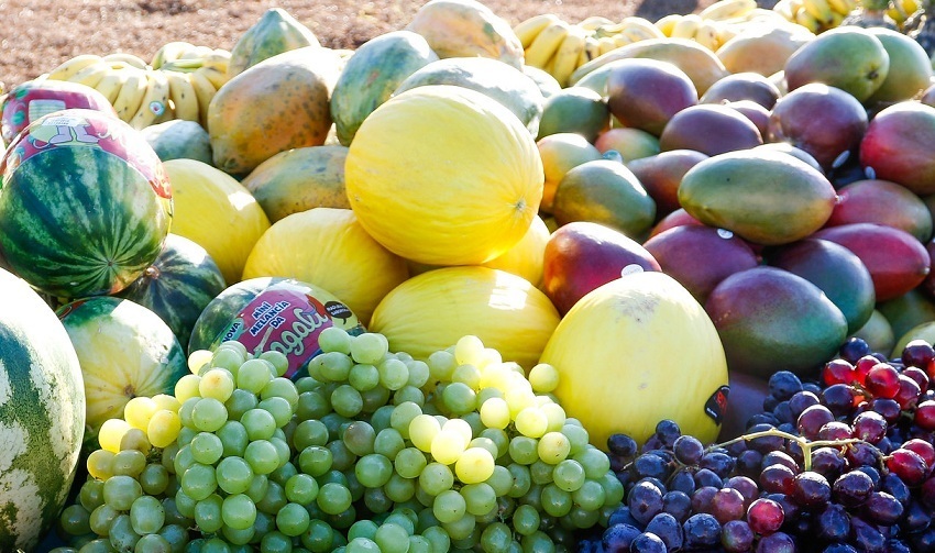 CNA discute impactos do tarifaço na cadeia de frutas