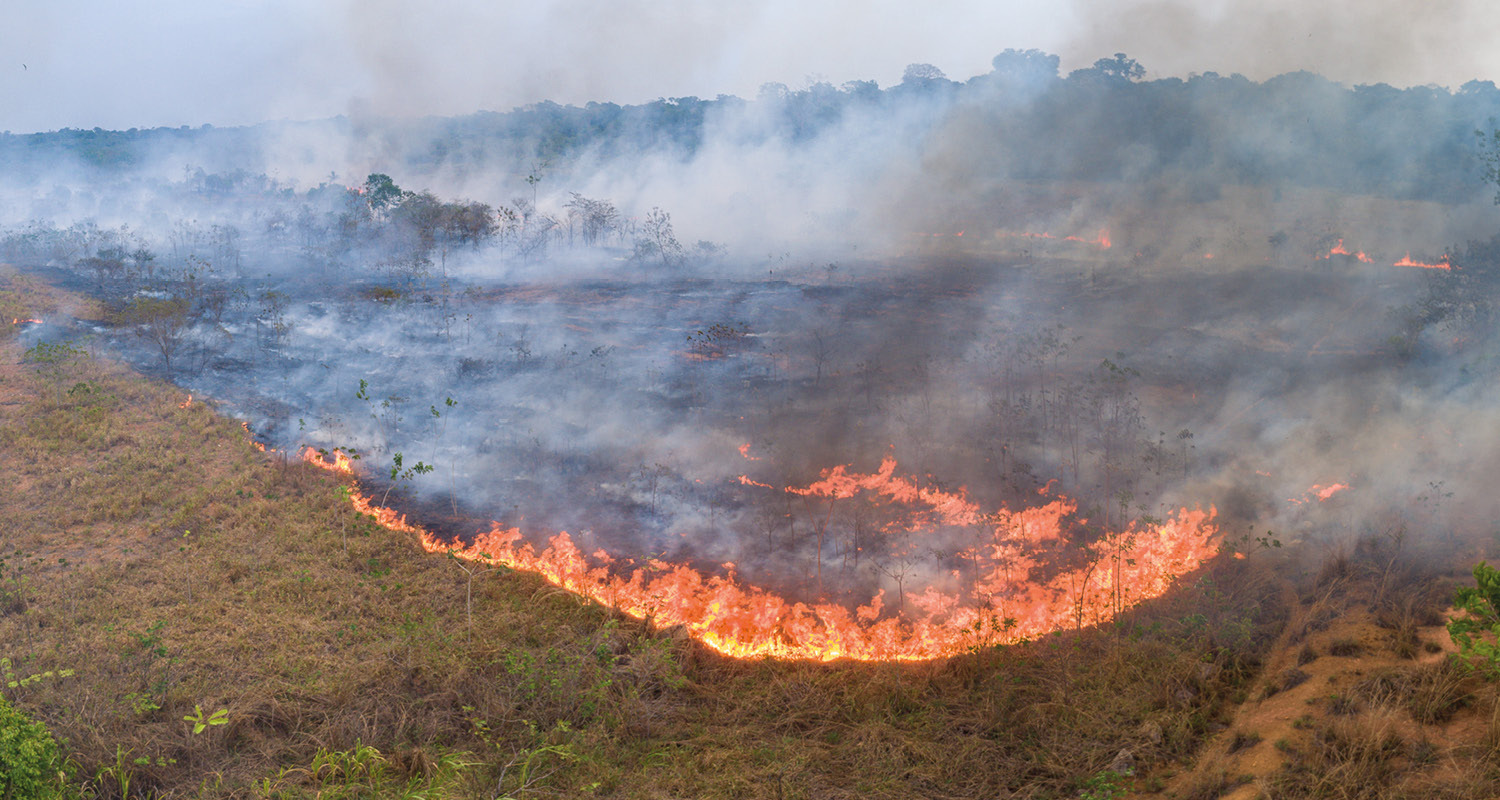 Senar-SP lança seminário de combate a incêndios com objetivo de evitar perdas ambientais e econômicas