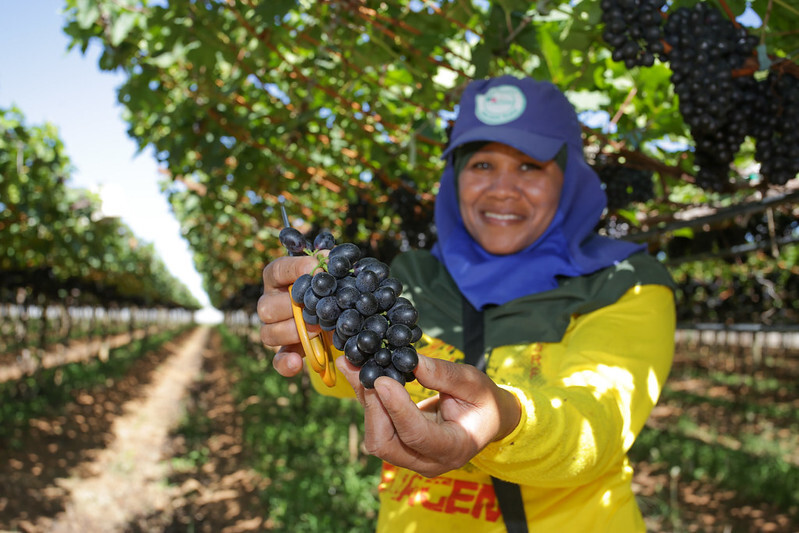 CNA analisa dados do Caged de maio