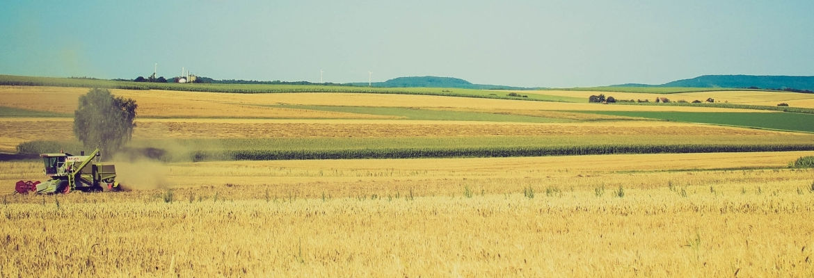 Boletim Técnico 2020 - URT Lajes/RN