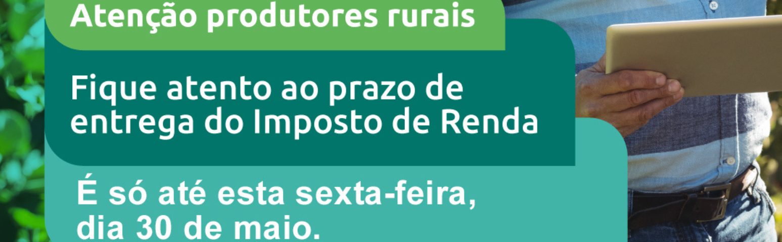 Últimos dias para declarar o Imposto de Renda