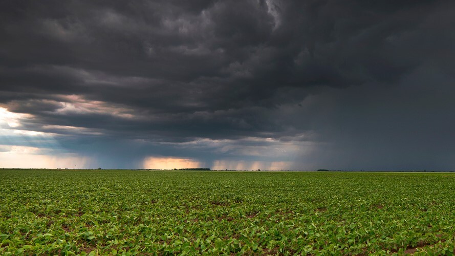 Produtor do PR atingido por evento climático tem nova linha de crédito de R$ 12 bilhões