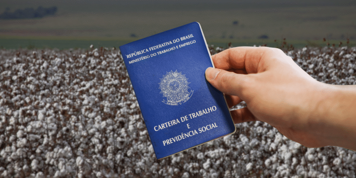 Empregos no agro baiano batem recorde histórico pelo segundo mês seguido