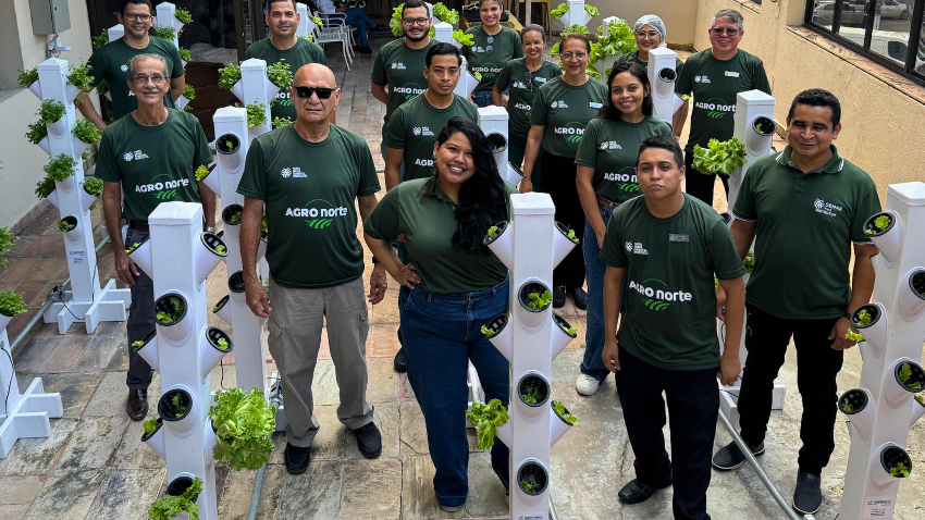 Senar promove treinamento em hidroponia no Hotel Princesa Louçã