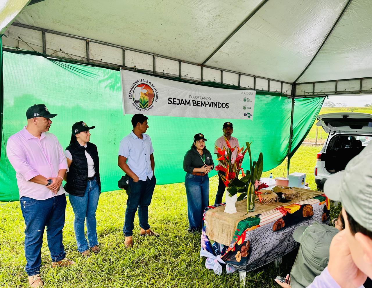 Projeto Forrageiras reúne produtores e técnicos para debater pecuária sustentável em Alagoas