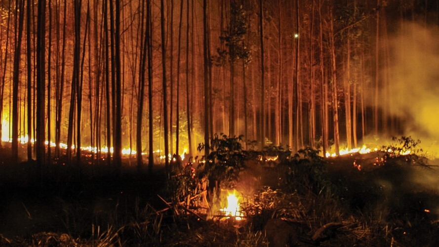 Sistema FAEP reforça prevenção a incêndios rurais no Paraná