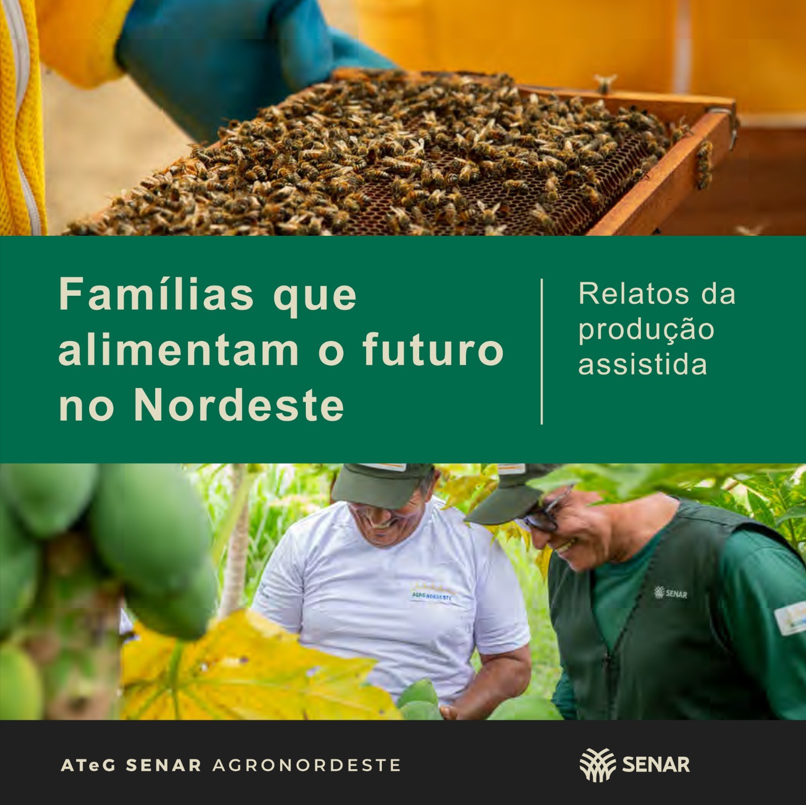 Famílias que alimentam o futuro do Nordeste