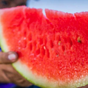 Aproximando Produtores Rurais e Consumidores