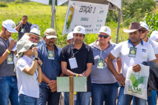Senar-PE promove Dia de Campo sobre forrageiras  em Venturosa